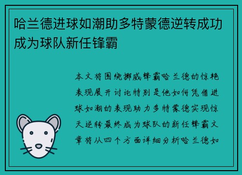 哈兰德进球如潮助多特蒙德逆转成功成为球队新任锋霸